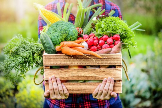 Eating More Plant Foods May Lower Heart Disease Risk In Young Adults, Older Women