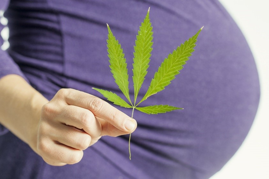 Cannabis use disorder Cannabis use disorder